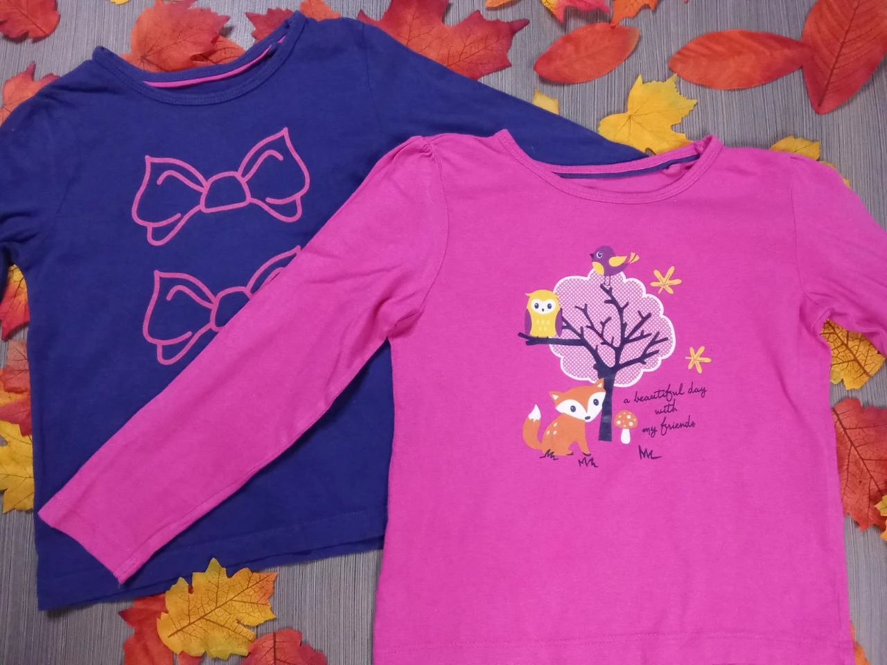 Lot 2 t-shirts Lupilu 3-4 ans